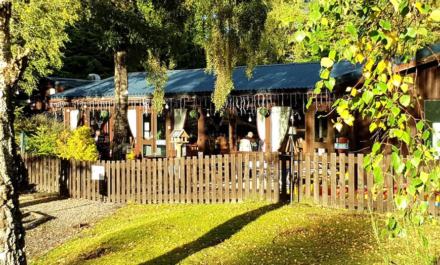Image 7: Carrbridge: Standard One or Two-Bedroom Cabin for Up to Four People