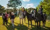 Embark on a Spring Camp Day (April 7-11) or Summer Camp Day (June 23-27) at Yorktown Stables (Up to 33% Off)