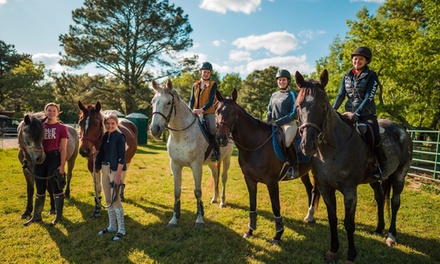Spring Break Day Camp April 7-11, 2025 9AM-3PM - Yorktown Stables
