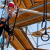Image 6: 4-Story Aerial Trekking Course at Colorado's Largest Adventure Park