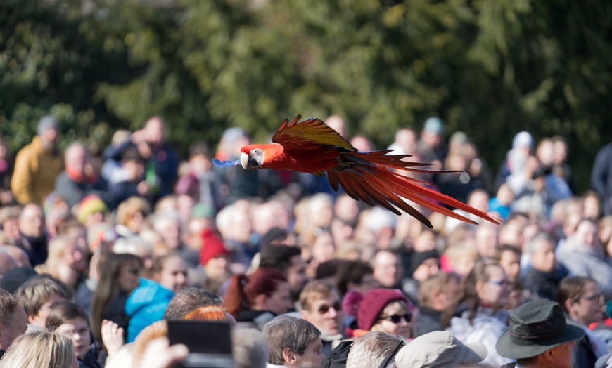 Image 10: Saisonkarte Gold Weltvogelpark Walsrode
