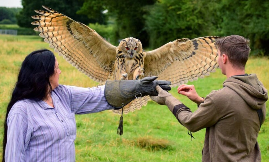 Image 3: Up to 68% Off on Falconry - Recreational at Mercer Falconry