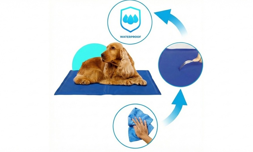 Image 2: Tapis rafraîchissant pour chiens