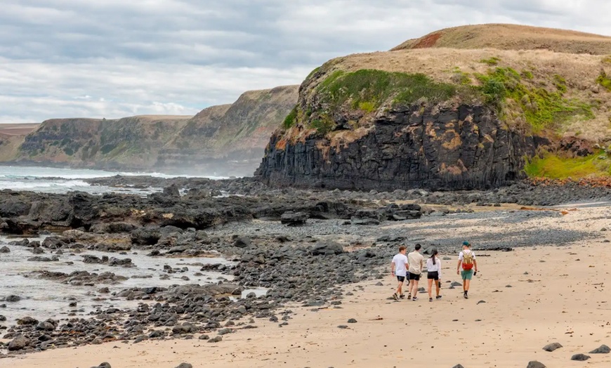Image 6: Scenic Clifftop, Bay or Rainforest Picnic Hikes with Gourmet Lunch 