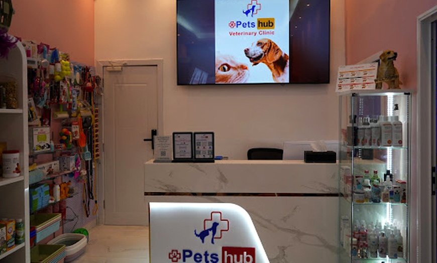 Image 3: Pamper Your Pet w/ Full Grooming for Cats & Dogs (Under or Over 20kg)