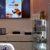 Image 3: Pamper Your Pet w/ Full Grooming for Cats & Dogs (Under or Over 20kg)