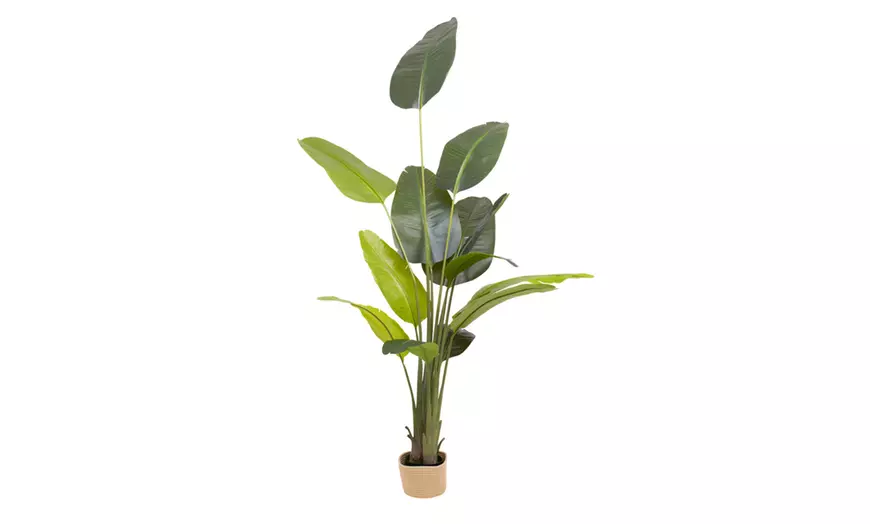Image 18: Plantas artificiales decorativas en diferentes diseños