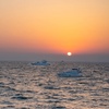 Image 23: Centaurus Yatch Tour - Mid Day, Sunset or Night Tours