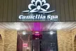 Enjoy 1,3 or 5 x Massage-Of-Choice (Swedish or Deep Tissue) 75-Minute at Camellia Spa- Up to 27% Off - Second Medium