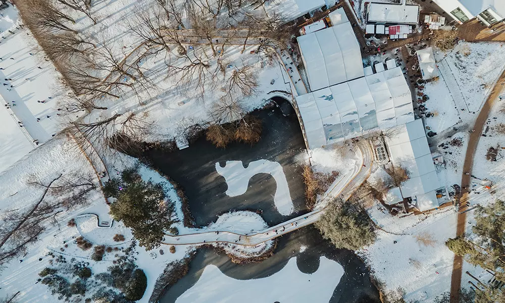 XMAS-Special: 2 Std. Schlittschuhlaufen für 2 Erwachsene & 2 Kinder