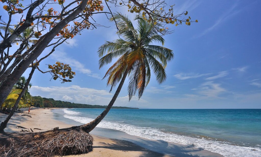 Image 14: ✈ 6-night Costa Rica and Panama Trip with Air & Overwater Bungalow