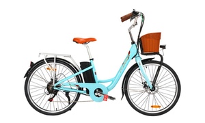 Electric Bike 