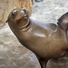 Image 9: Aquarium of the Pacific: Admission for All Ages Up to 33% Off