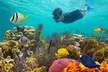 Enjoy Snorkeling and Dolphin Watching with Key West Watersports for an Unforgettable Adventure (Up to 27% Off) - Second Medium