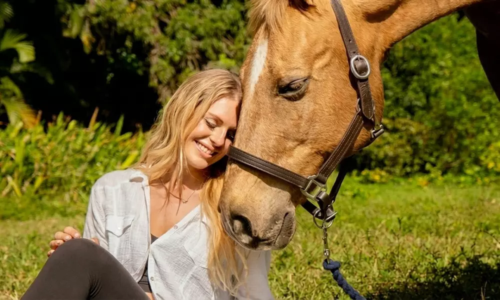 Equine Yoga & Meditation – Reconnect with Horses