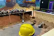 Little Diggers Open Session or Combo with 60min Open Jump for 1 or 2 at Jump Giants Newcastle (Up To 41% Off) - Second Medium