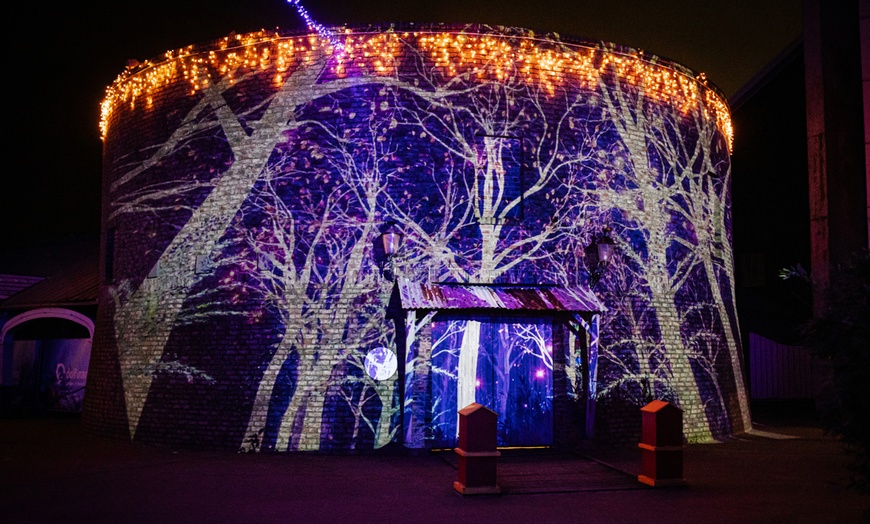 Image 6: Ontdek de dieren van de zee en neem zelf een duik in het Dolfinarium