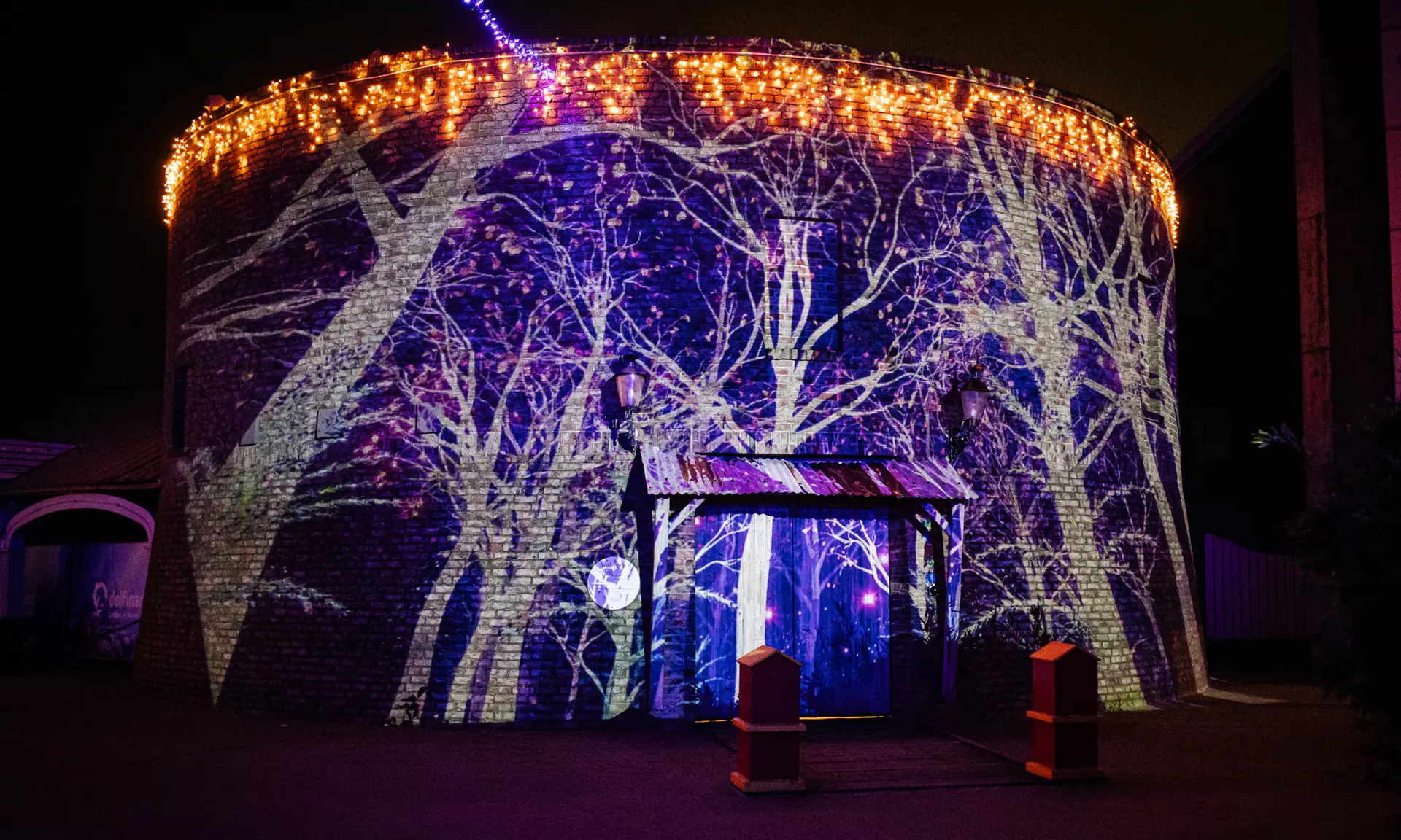 Einrittskarte "Dolfinarium" in Harderwijk, Niederlande für 1 Person