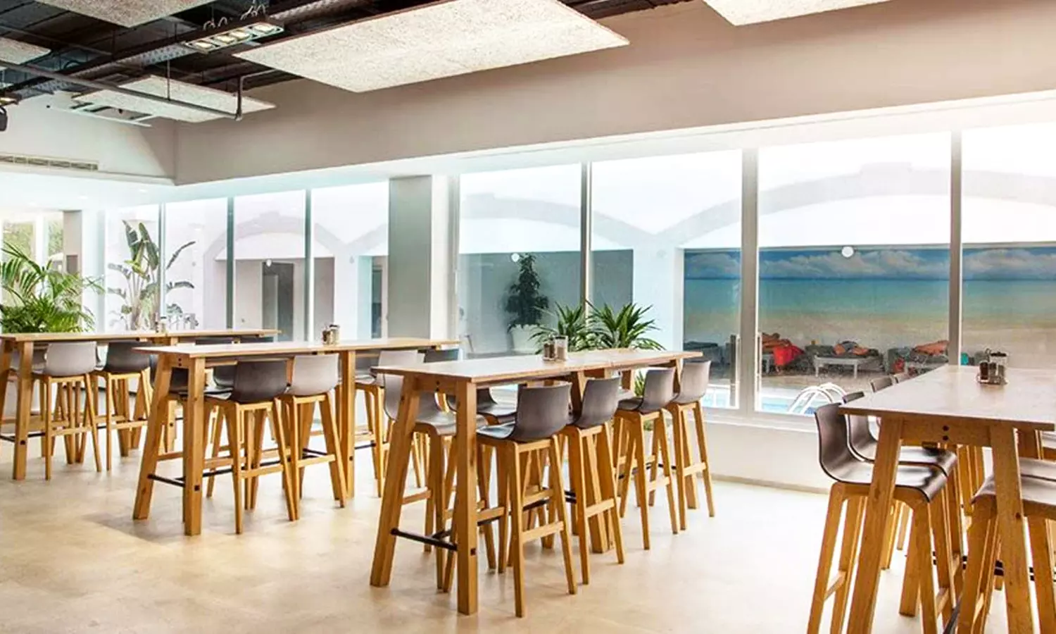 Menú mediterráneo light o completo para 2 o 4 personas