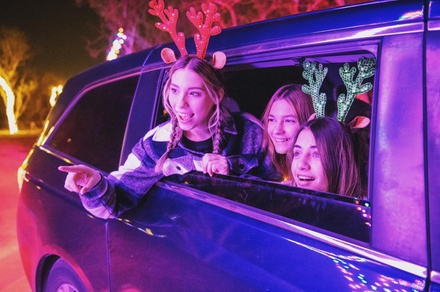 Single Use Ticket to Northern Lights: Valid for 1 Car Load - Northern Lights - Texas