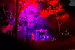 Experience The Thrill: Haunted Trail Admission for Two or Four (10/04/2025 to 10/25/2025) ( Up to 58% Off ) - Second Medium