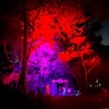 Image 3: Experience The Thrill: Haunted Trail Admission for Two or Four (10/04/2025 to 10/25/2025) ( Up to 58% Off )