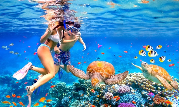 What to expect media