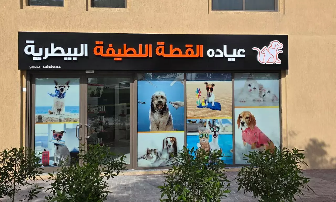 Dog & Cat Medical Check-Up, Annual Vaccination & Wellness Packages