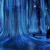 Image 6: Explore TeamLab Phenomena General Admission for Adults and Youths