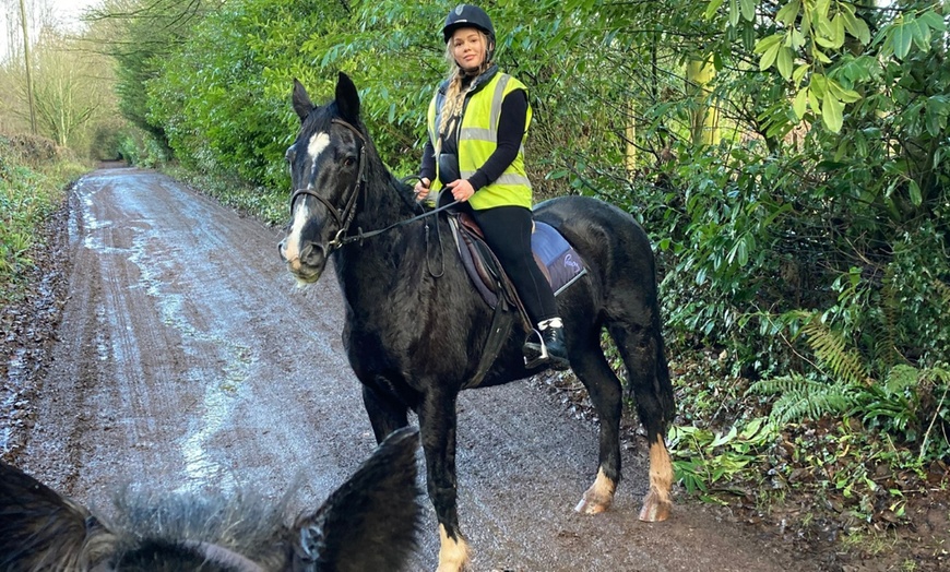 Image 5: Horse Riding and Trekking Lesson at SevernwyeEquestrian