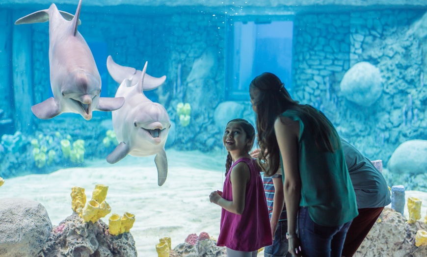 Image 7: LABOR DAY SALE! SeaWorld San Antonio & Aquatica- Up to 53% Off