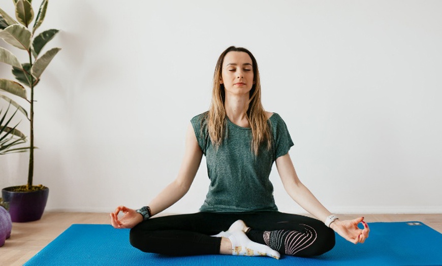 Image 2: Embracing Benefits and Diversity / Hatha Yoga Essentials Online Course