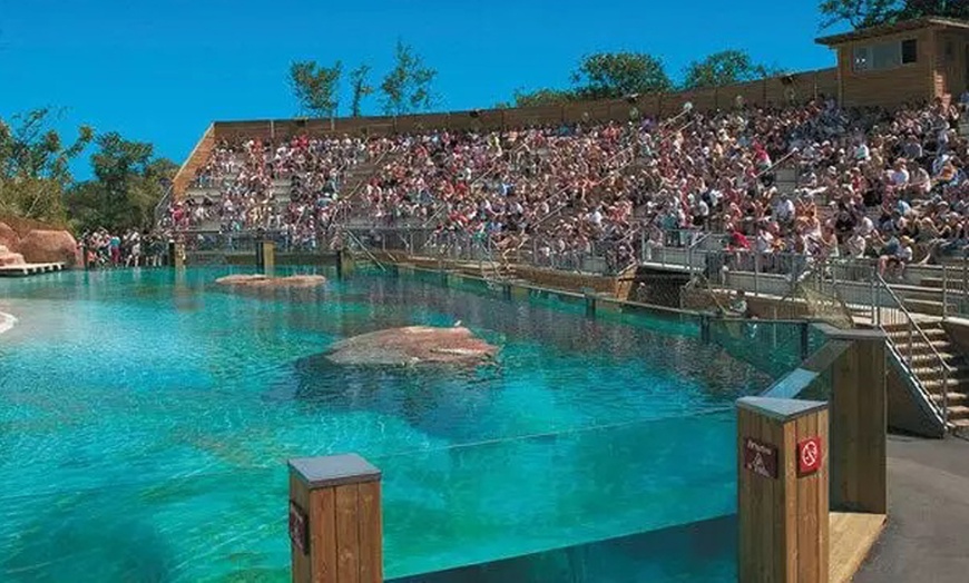 Image 4: Coffret Wonderbox Connect pour le Zoo d’Amnéville