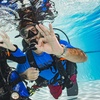 Image 3: Discover the Underwater World with PADI Scuba Diving for One or Two