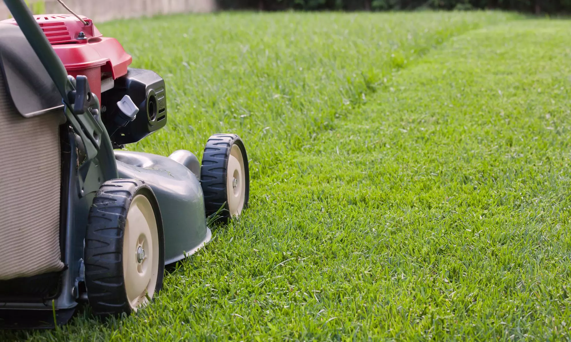 $15 for $30 voucher — 1-Call Property Solutions LLC - Primary Image