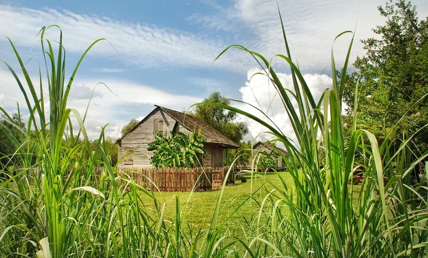 Image 10: Up to 21% Off Historic New Orleans Plantation Tours