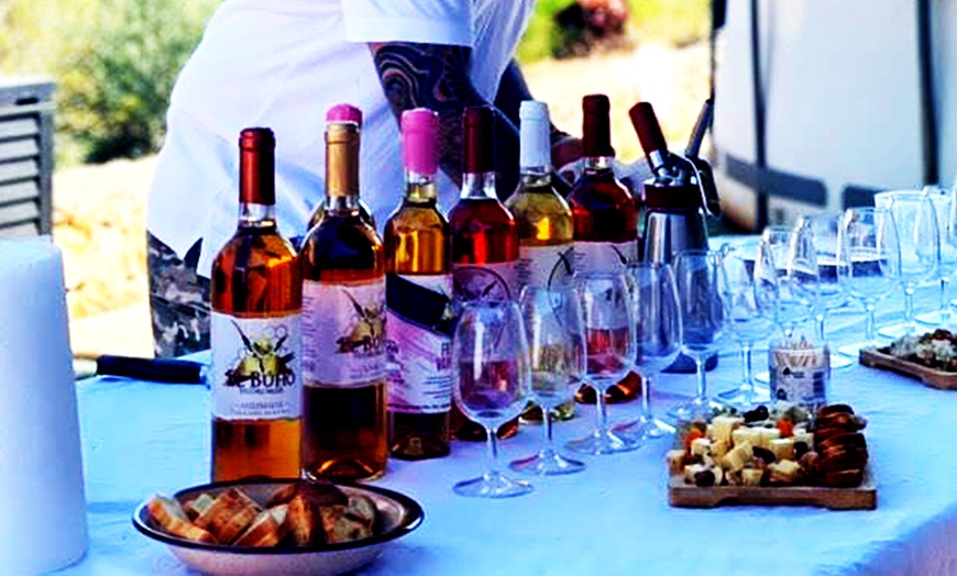 Image 7: Cata de hidromiel artesanal con maridaje gourmet