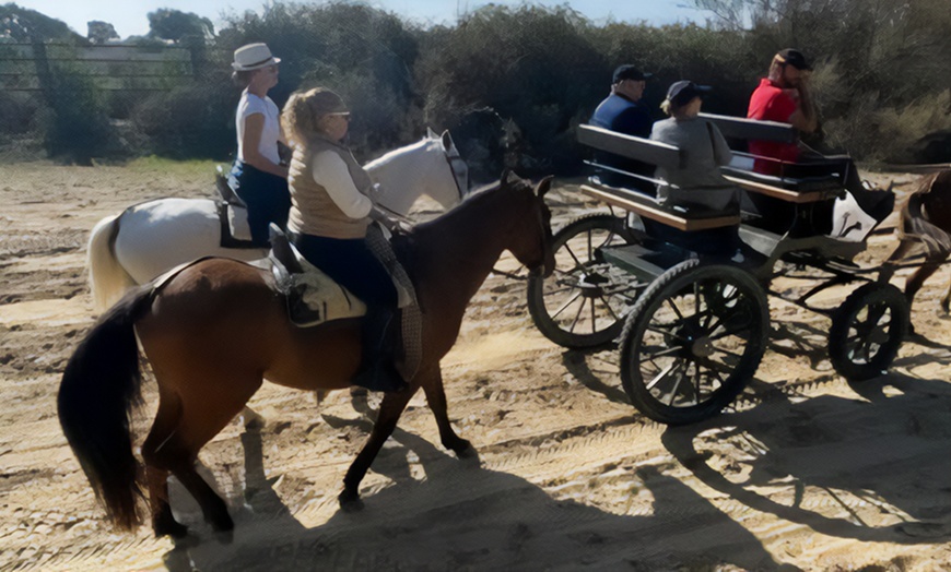 Image 6: Paseo privado en carro de caballos 2 horas para 2 o 4 personas