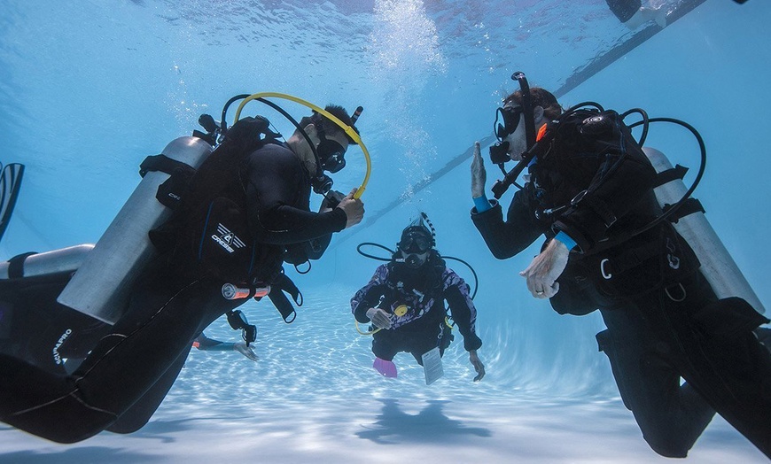 Image 4: Discover the Underwater World with PADI Scuba Diving for One or Two