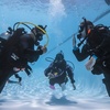 Image 4: Discover the Underwater World with PADI Scuba Diving for One or Two