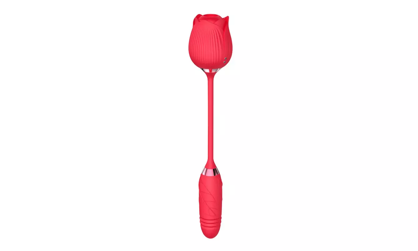 2 In 1 10 Mode Rose Clitoris G-spot Vibrator 