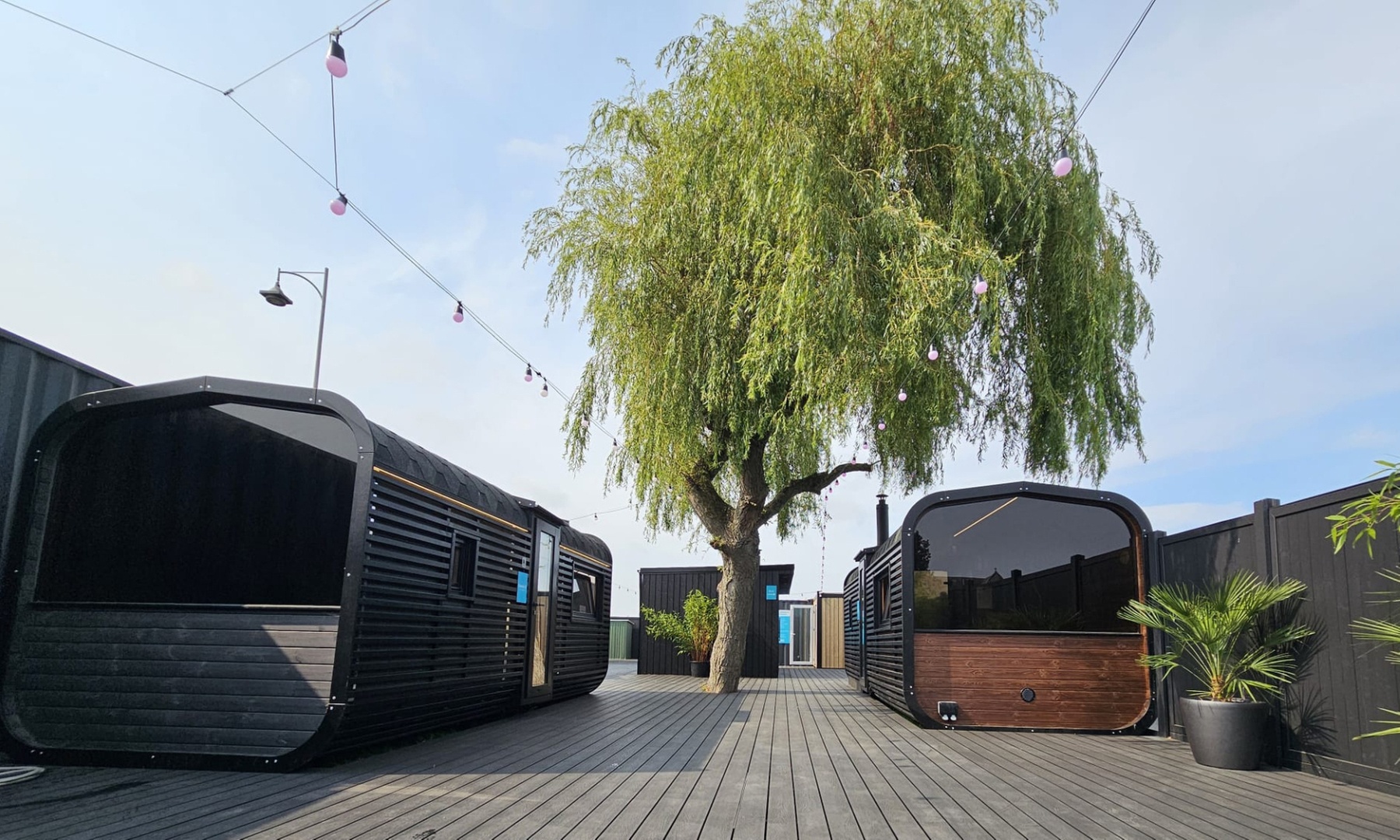 Rejuvenate with a Sauna and Ice Bath in 60 Minutes