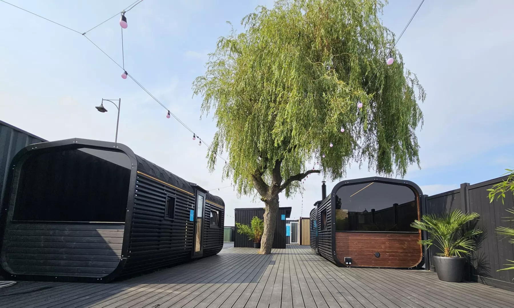 Rejuvenate with a Sauna and Ice Bath in 60 Minutes