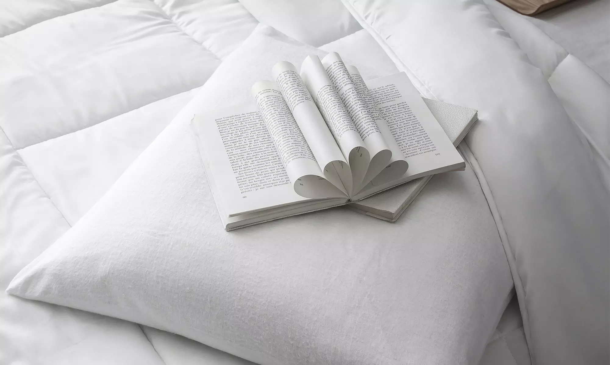 Lot de 2 protège oreillers, 100% coton - Primary Image