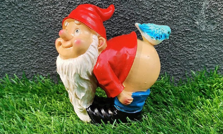 Image 2: Funny Gnome