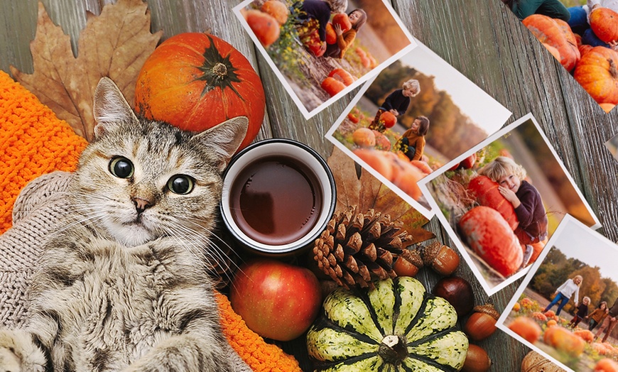 Image 7: Create Memories w/ 10x15, 15x21, or 10x10, 13x13, / 10x13 Photo Prints