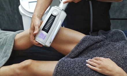 One Session of Endosphere Therapy - Elia Body Sculpting and Skin Care
