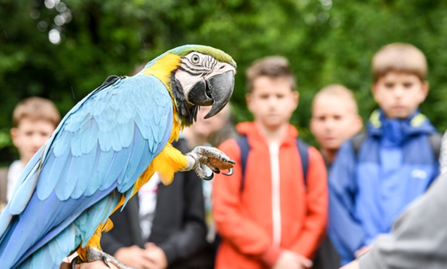Image 8: Tageskarte für den Tierpark Herborn für 1-2 Erwachsenen & 2 Kindern