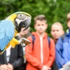 Image 8: Tageskarte für den Tierpark Herborn für 1-2 Erwachsenen & 2 Kindern