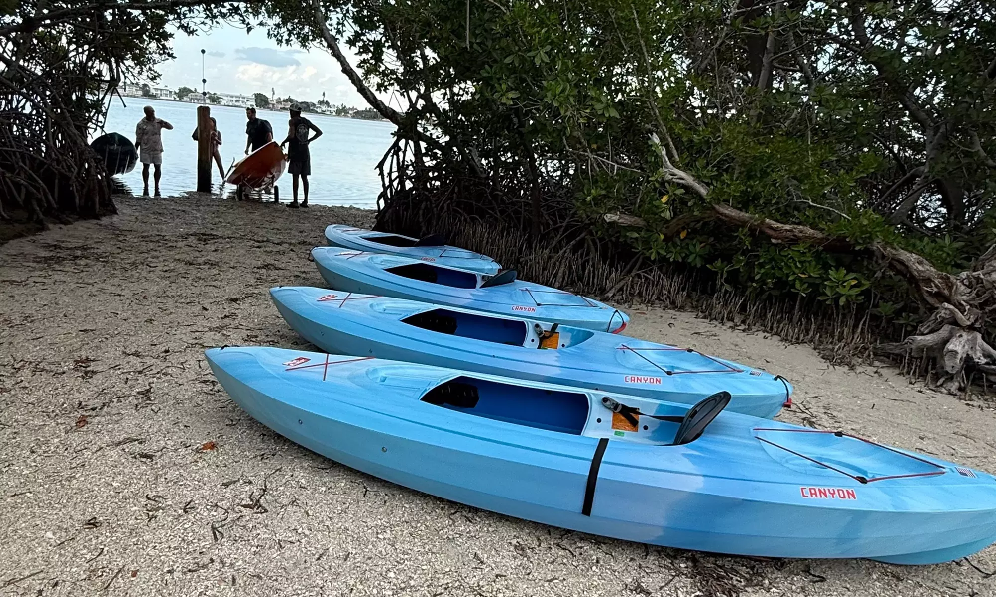 75-Min Kayak Tours – Sunrise, Sunset & Mangrove Adventures